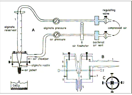 Figure 3-1: Alginate Droplet Generator [19] 