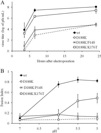 FIG. 5. Deﬁnition of the second-site rescue mutation. To deter-mine whether P14S or K176T rescued the D188K fusion defect, indi-