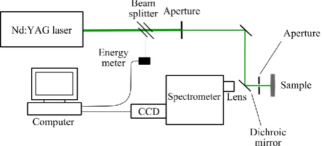 Figure 1. Schematic of luminescence detection set-up. 