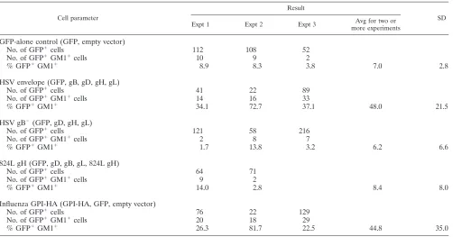 FIG. 2. Sampling of the range of GFP�regions of the cell with GFP/TRITC overlap. The area of TRITC/GFPoverlap is limited; however, using liberal scoring, these cells werecounted as positive for lipid transfer
