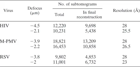 TABLE 1. Subtomogram data sets used in this study