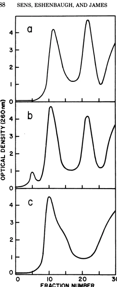 FIG.1.polyDNA1.710-densityXh8OC1857; Comparison of efficacy of complexing with UG followed by centrifugation to equilibrium in cesium choride for the resolution of the strands of various bacteriophage