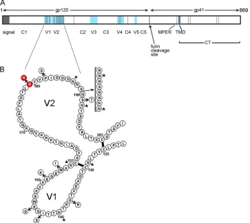 FIG. 1. Location of amino acid differences between neutralization-sensitive and -resistant clones isolated from subject 108051