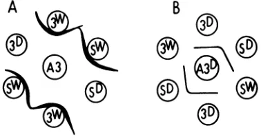 FIG.1.peptide;polypeptide;antiserum.anti-3049 Double diffusion gel patterns. Symbols: A, pool antiserum; B, anti-3049 polypeptide A3, anti-3049 pool; A3D, anti-3049 poly- 3W, 3049 virion; Sw, IpS virion; 3D, 3049 SD, IpS polypeptide.