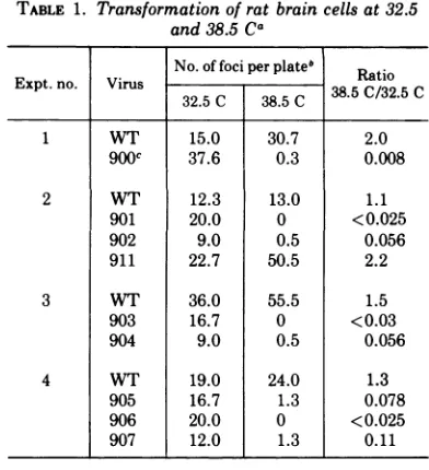 TABLE 1. Transformation of rat brain cells at 32.5and 38.5 Ca