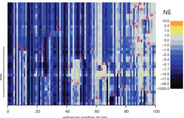 Figure 2.—Evolution of constraint. Rows cor-