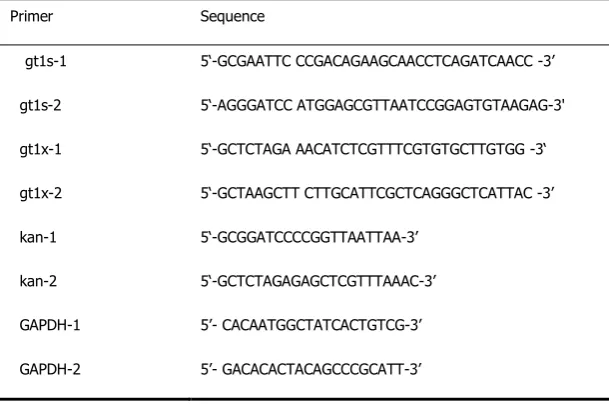 TABLE 1. Strains used in this study 