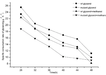 Fig.9. The specific consumption rate of glycerol in different strains (mutant: Δgt1; wide type)and different medium (glycerol; glycerol + methanol)