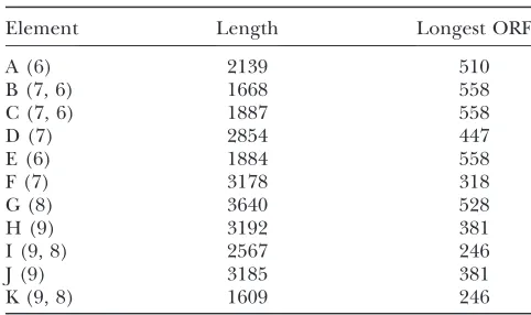 Table 1). This founder sequence could have been either