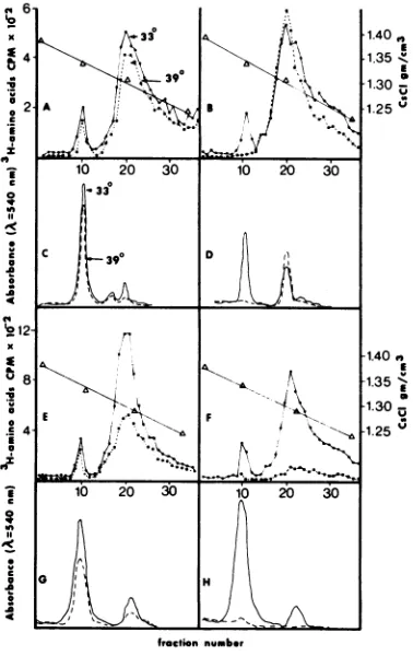 Table 3 presents a summary of the properties ofthe mutants studied. All of the mutants ad-sorbed normally, synthesized viral DNA, and