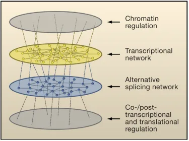 Figure 1-2. Layers of coordinated gene regulation (Blencowe, 2006).   