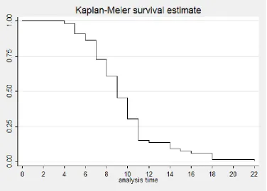 Figure 4-3 Kaplan-Meier survival function 