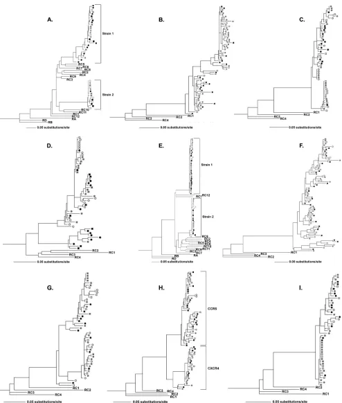 FIG. 1. HIV-1 envcompartmentalization. Maximum likelihood phylogenetic analysis of the HIV-1 sequences from both breast milk and blood specimens are present in all phylogenetic clades, suggesting a lack of viral env region C2-V5 derived from single-amplicon-derived sequences