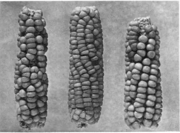 FIGURE 2.-Result generations of selecting for the ‘most sweet-appearing individual during nine of self-fertilization from the same source as in figure I