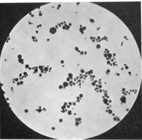 FIGURE 3.-Starch grains from true starchy seeds. 