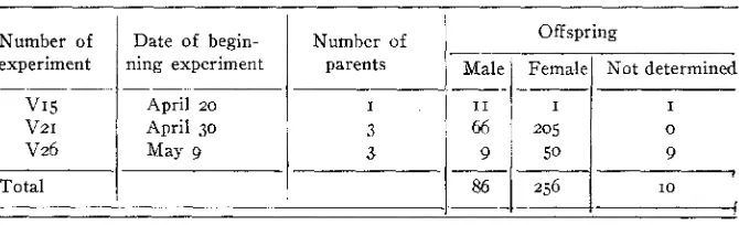 TABLE 5 females which were observed 