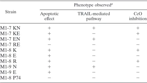 TABLE 2. Effects of mutations at positions 77 and 81 of M1-7 andits truncated fragments