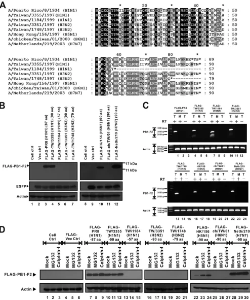 FIG. 1. Sequence differentials and various expression levels of eight PB1-F2 variants