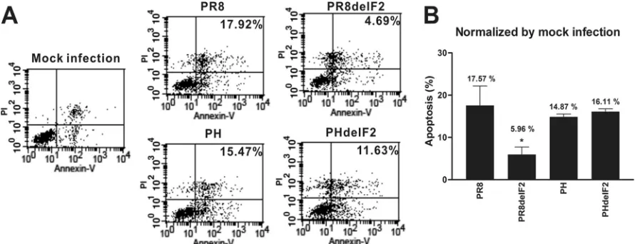 FIG. 3. H5N1 PB1-F2 has no effect on apoptosis enhancement. (A) U937 was challenged with strains PR8, PR8delF2, PH, and PHdelF2 at anMOI of 2