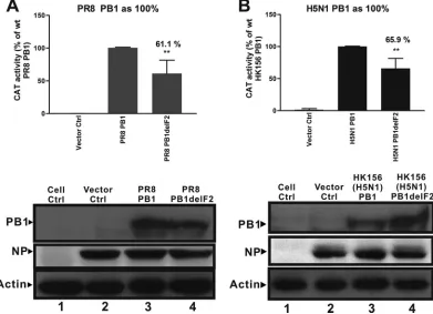 TABLE 2. Sequence identity between putative S-OIV PB1-F2 andsix other full-length PB1-F2 variants