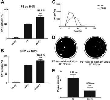 FIG. 6. S-OIV full-length PB1-F2 affects virus growth and virus RNP activity and reduces the sizes of the plaques