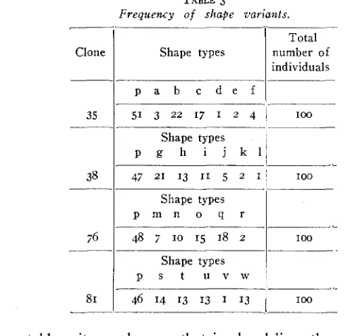 TABLE 3 of shape 