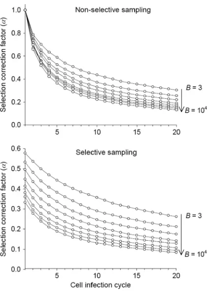 FIG. 1. Selection-correction factor � as a function of time, mea-sured in cell infection cycles, for different values of the burst size (or