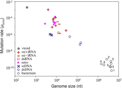 FIG. 2. Relationship between mutation rate and genome size, withmajor virus groups indicated
