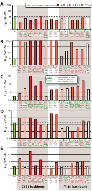 FIG. 6. Sensitivity of site-directed mutants of group O CMO2.41 virus to nonnucleoside RT inhibitors