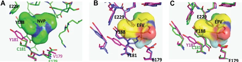 FIG. 7. RT models of NVP and EVF bound by various group O variants in the NNRTI binding pocket