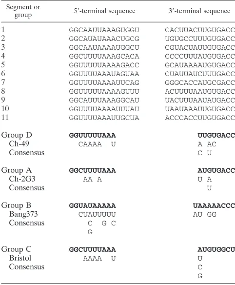 TABLE 3. Comparison of 5�- and 3�-terminal sequences of groupD rotavirus strain Ch-49 genome segments to those ofgroup A, B and C rotavirusesa