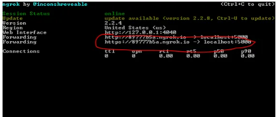 Figure 5. Terminal command in Raspberry Pi to run ngrok on port 5000. 