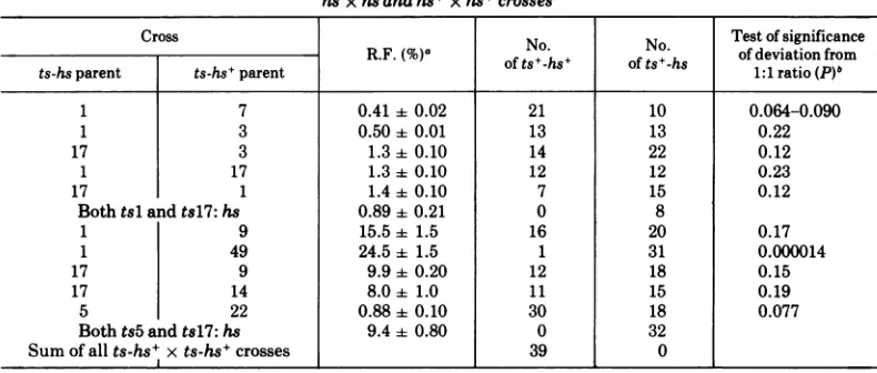 TABLE 3.intermediate Analysis of progeny from plaques of heat stability from the cross ts3-hs+ x