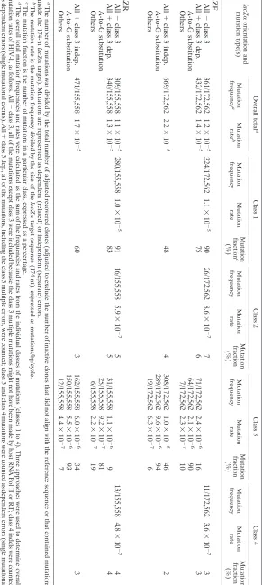 TABLE 2. Orientation of lacZ does not affect HIV-1 mutation rate (4-vector system)�