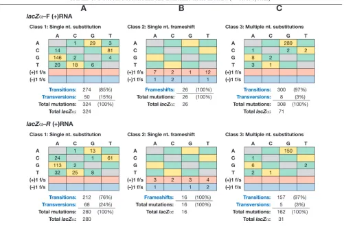 TABLE 3. Nucleotide substitution and frameshift errors in lacZ� (4-vector system)a