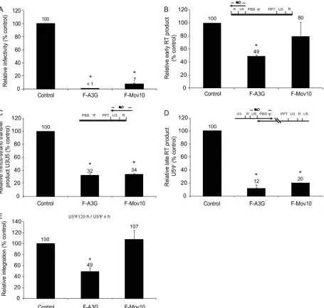 FIG. 8. Real-time PCR analysis of the effects of A3G and Mov10 on HIV-1 reverse transcription