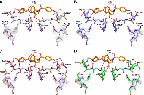 TABLE 2. Binding thermodynamic parameters for NFV, DRV, and APV binding to AE and clade B variantsa