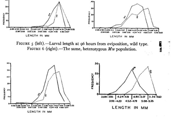 FIGURE 5 (left).-Larval FIGURE 6 (right).-The 
