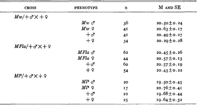 TABLE 3 