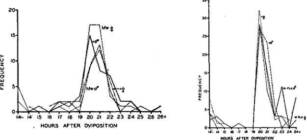 FIGURE I (left).-Frequency polygon of larvae hatching at successive hours in matings of M w / + g x +  9 