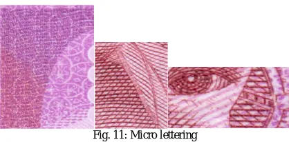 Fig. 11: Micro lettering 