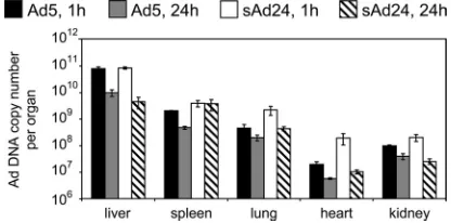 TABLE 1. Reporter activities in homogenates of tissues isolated from Ad-injected micea
