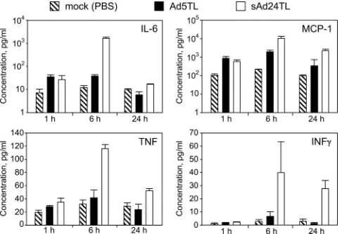 FIG. 5. sAd24 ﬁber-derived targeting chimera forms stable trimersand binds to cell-associated Her2