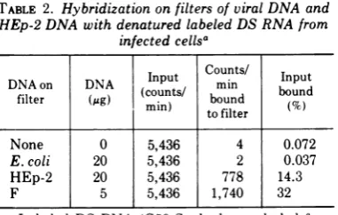 TABLE 1. Purification of DS RNA from HSV-1-infected cells