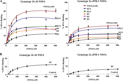 TABLE 2. Interactions between 3� UTR RNA and NS5A proteindomain constructs as assessed by ﬁlter binding assaya