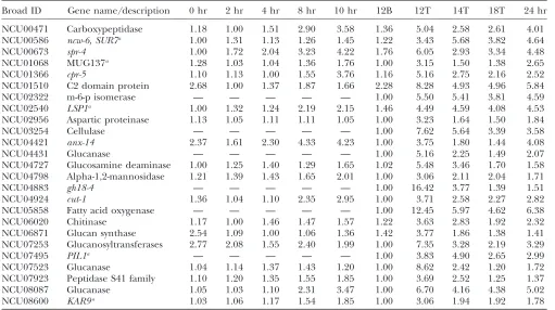 TABLE 3