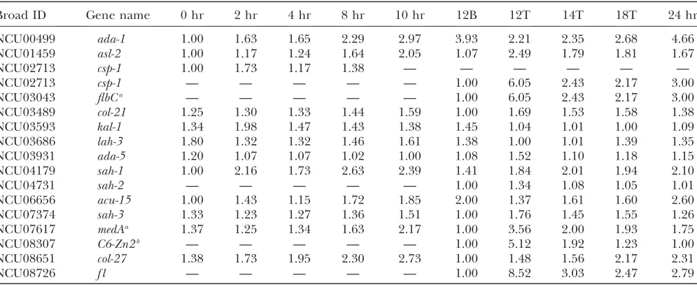 TABLE 4