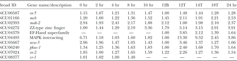 TABLE 5