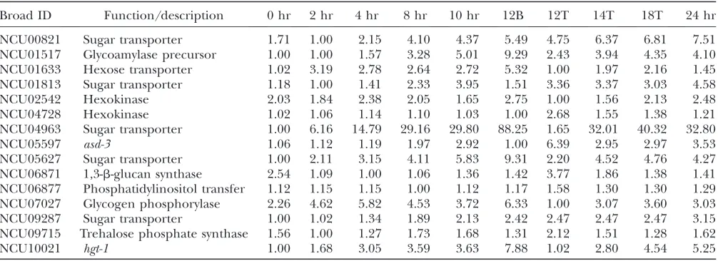TABLE 1