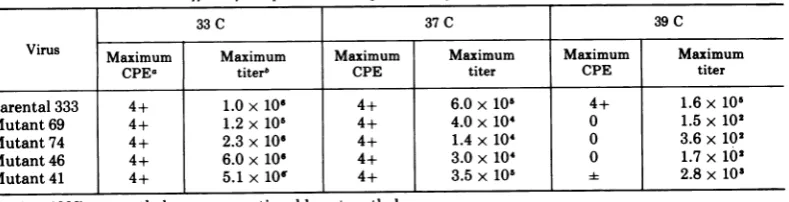 TABLE 1. Effect of temperature on replication ofHSV-2 mutants in HEF cells